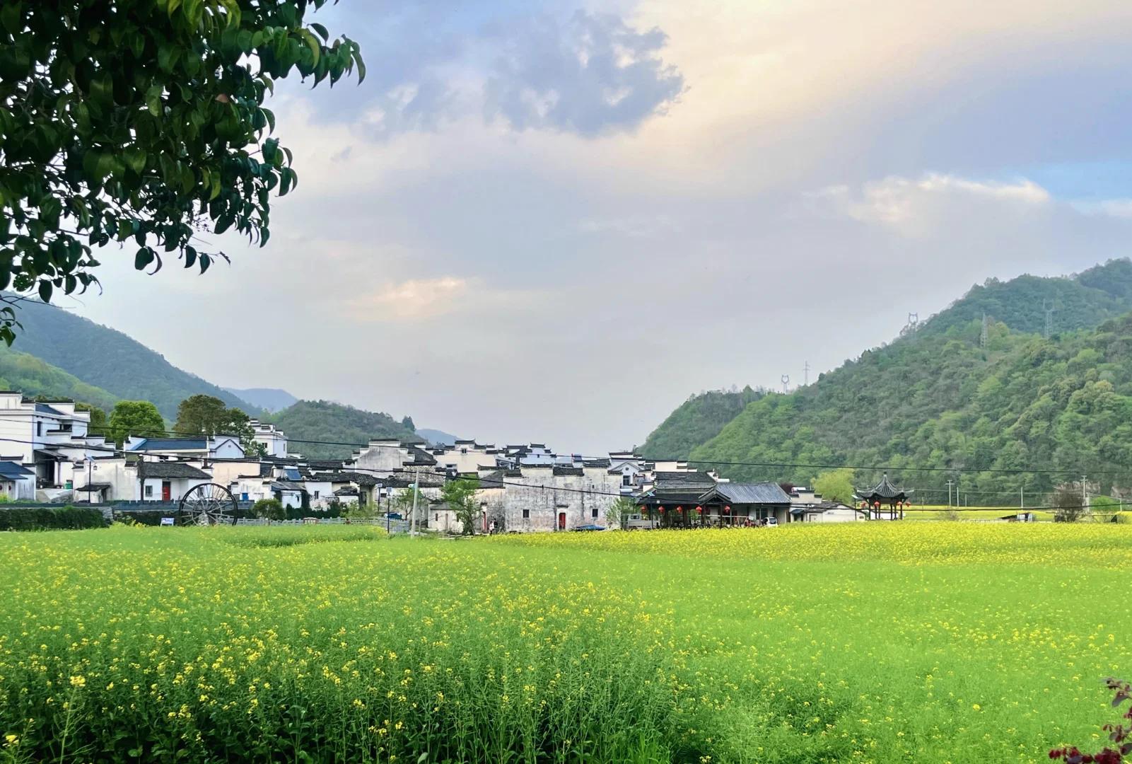 黄山旅游 缩略图 11