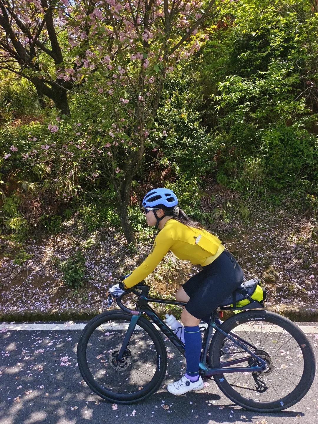 杭州旅游 缩略图 7