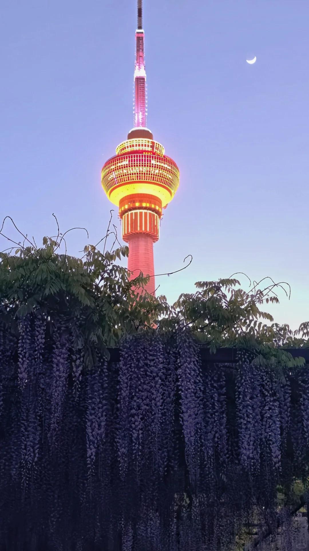 北京旅游 缩略图 2
