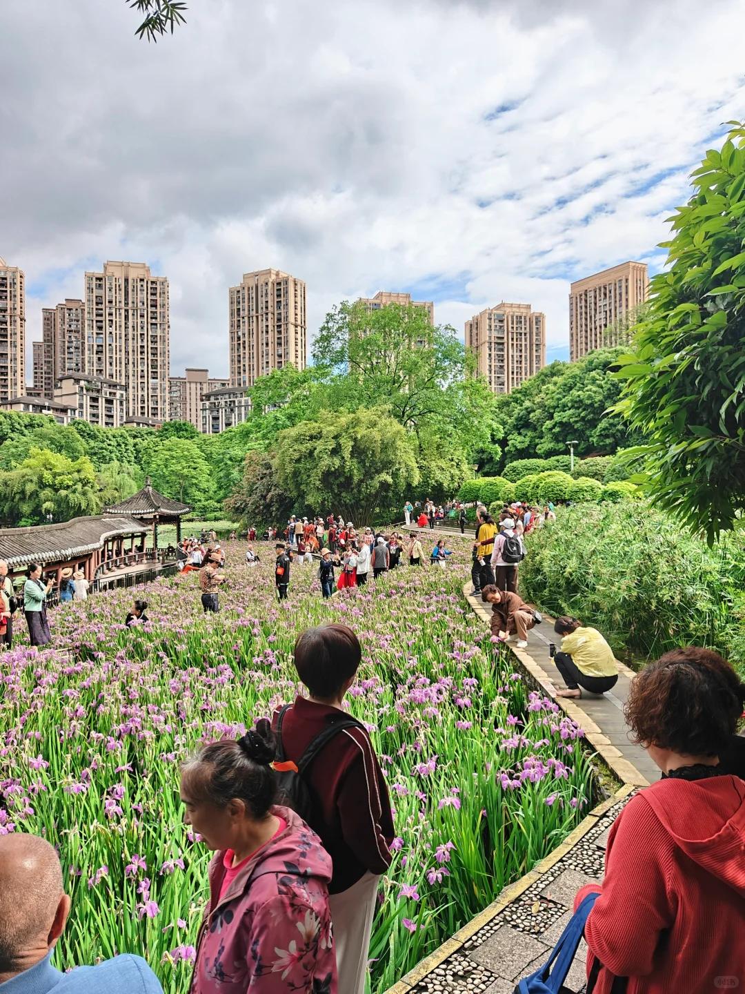 天津旅游 缩略图 8