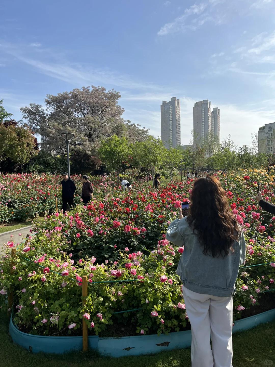 郑州旅游 缩略图 4