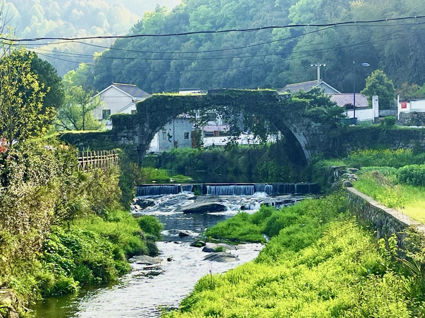 黄山旅游 缩略图 15