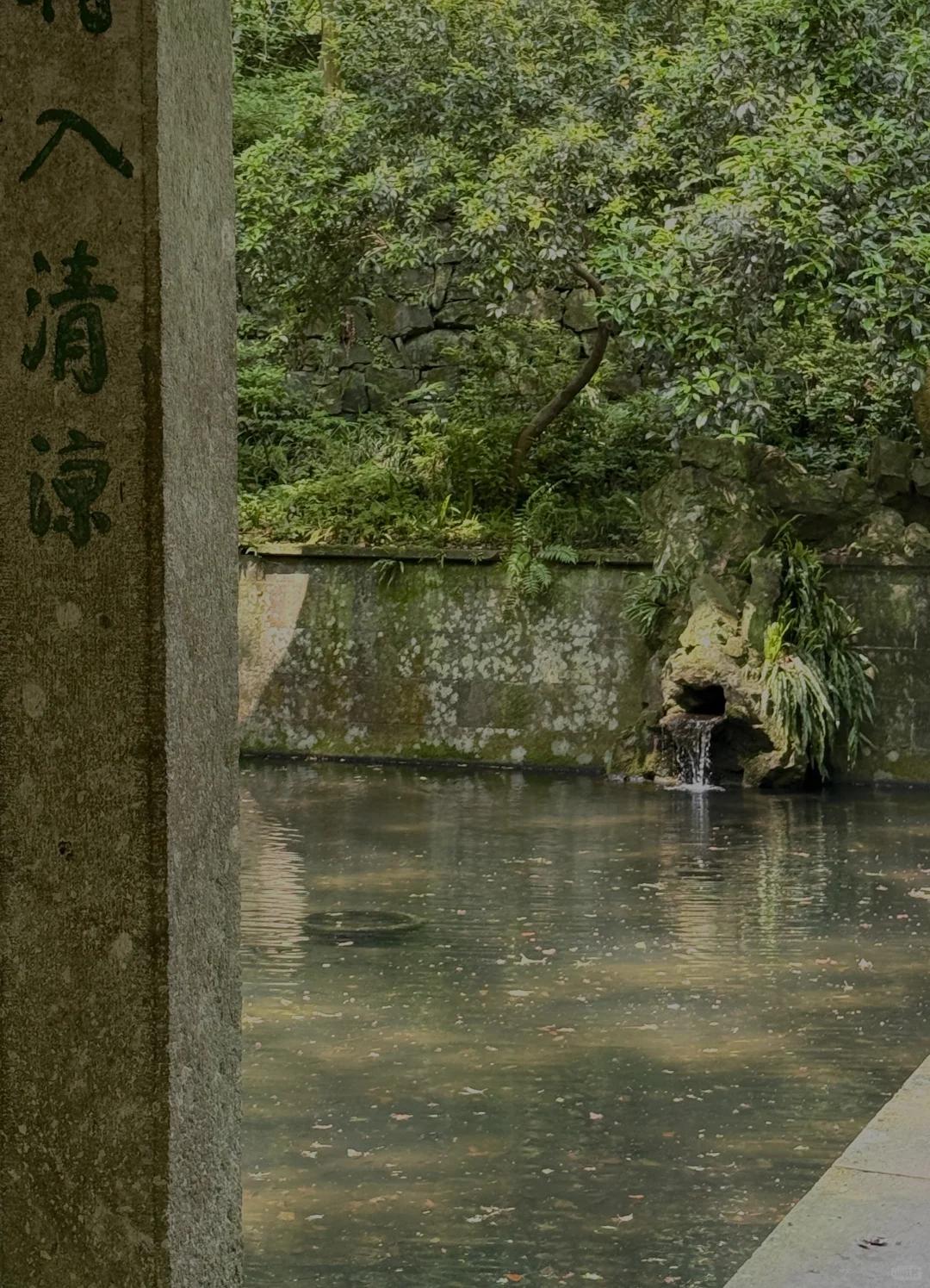 杭州旅游 缩略图 3