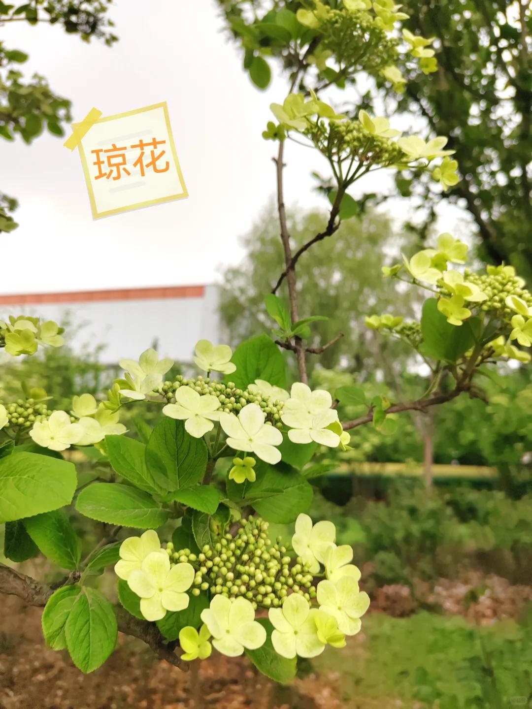 天津旅游 缩略图 9