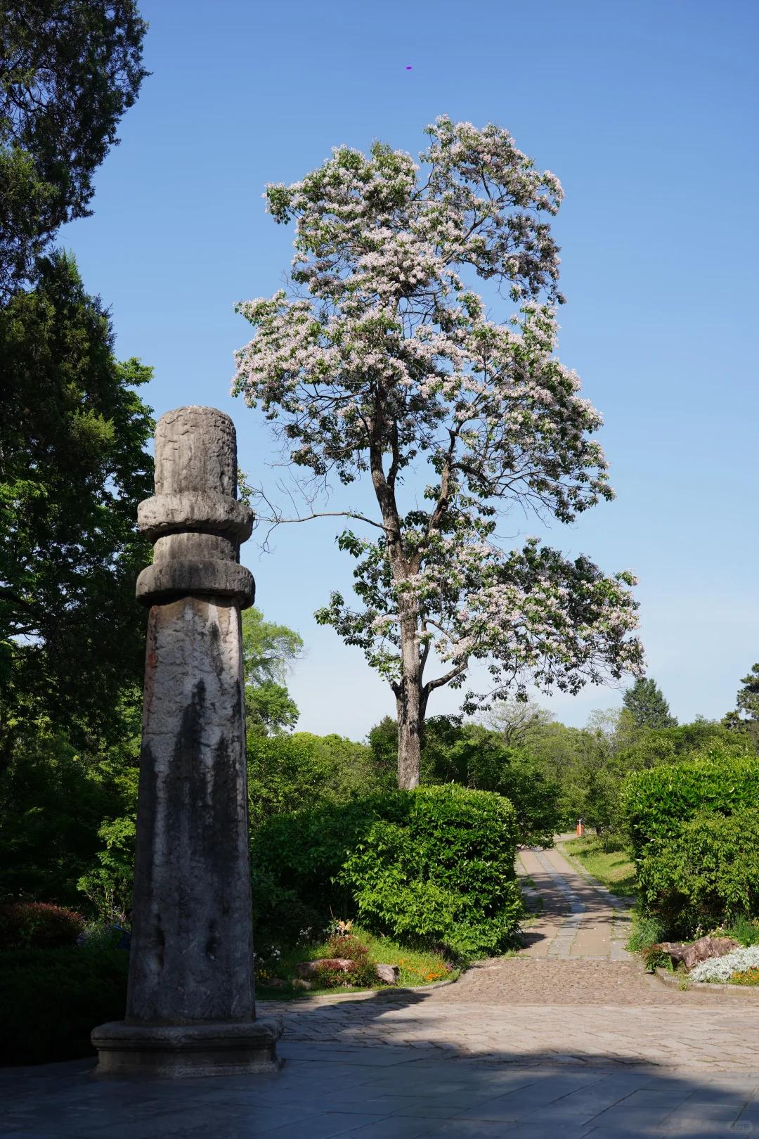 南京旅游 缩略图 3