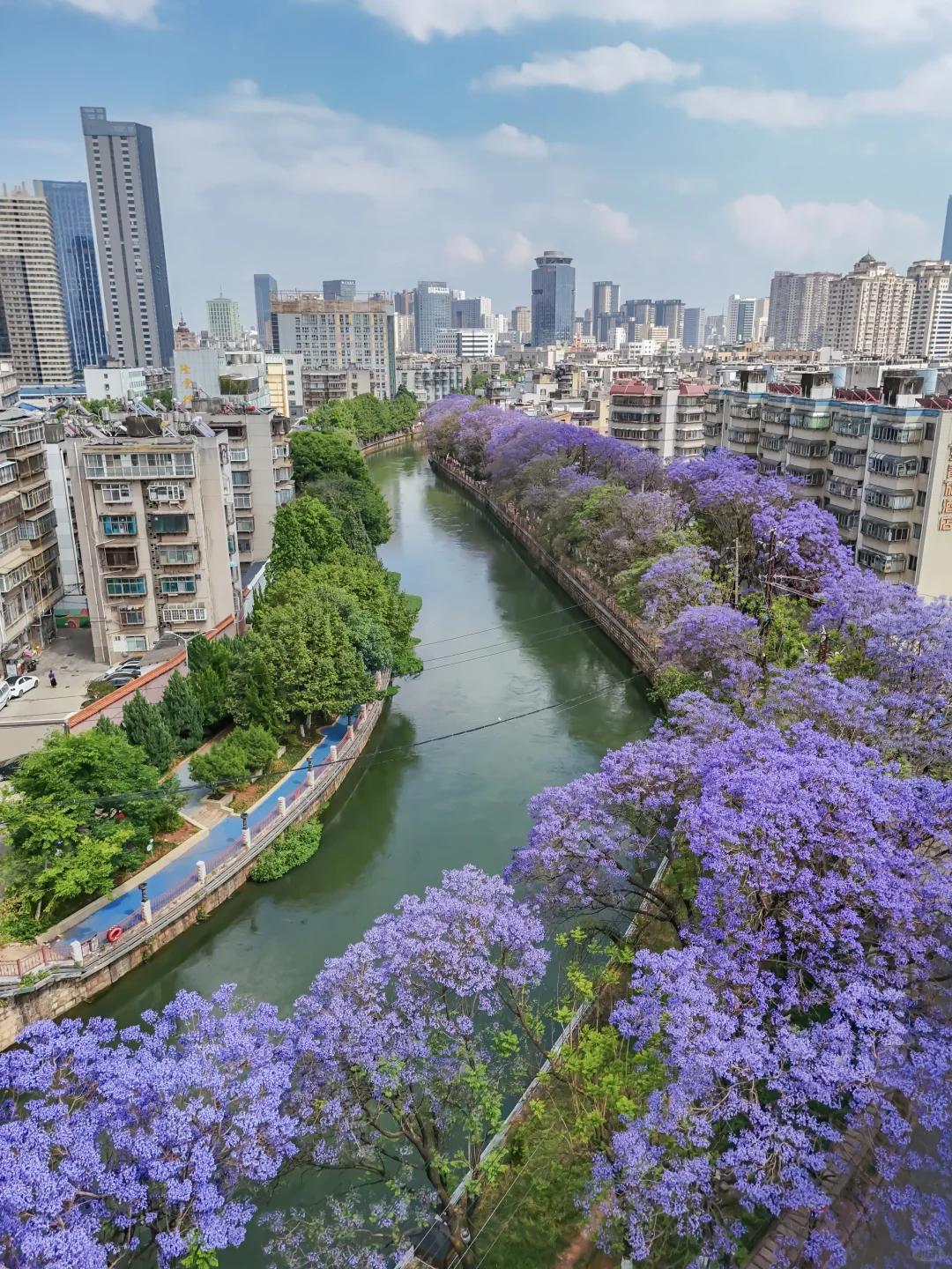 昆明旅游 缩略图 7