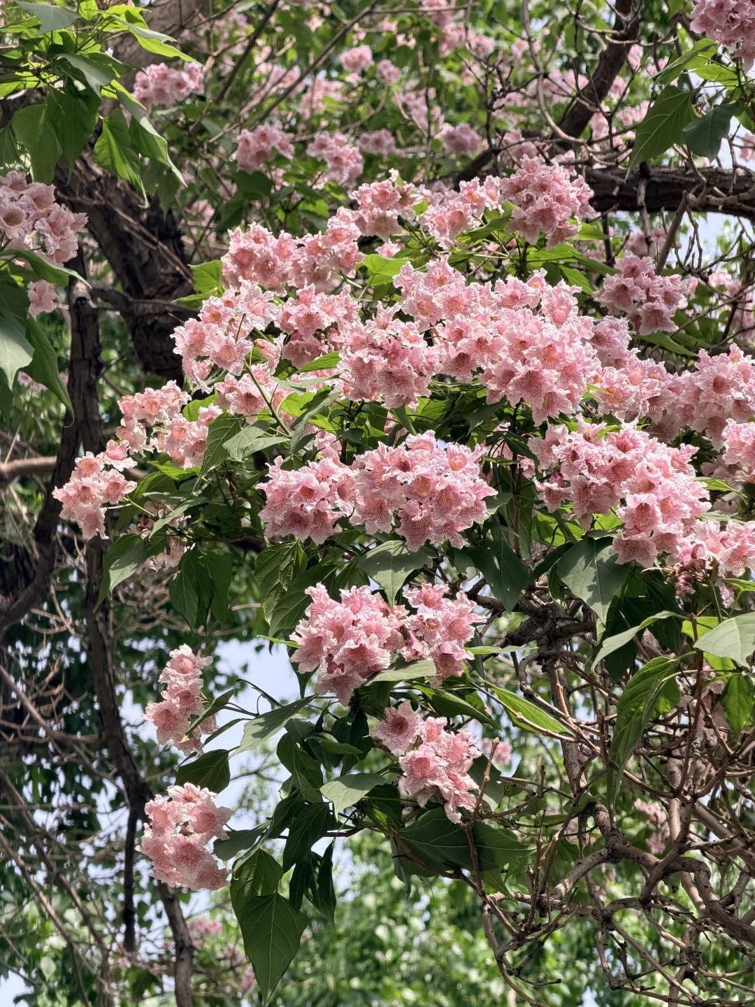 常州旅游 缩略图 16