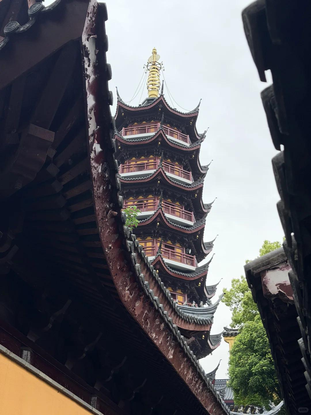 南京旅游 缩略图 15