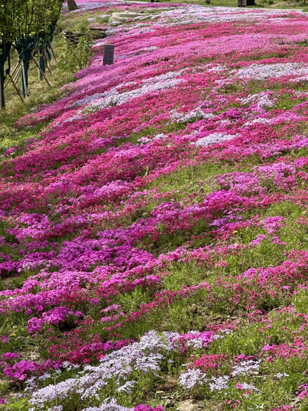 北京旅游 缩略图 3