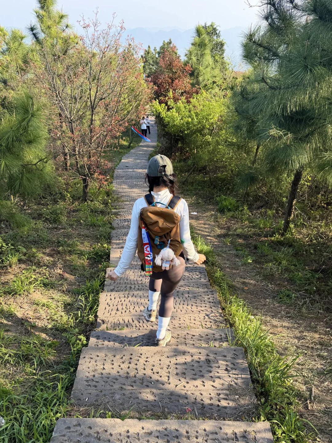 宁波旅游 缩略图 16