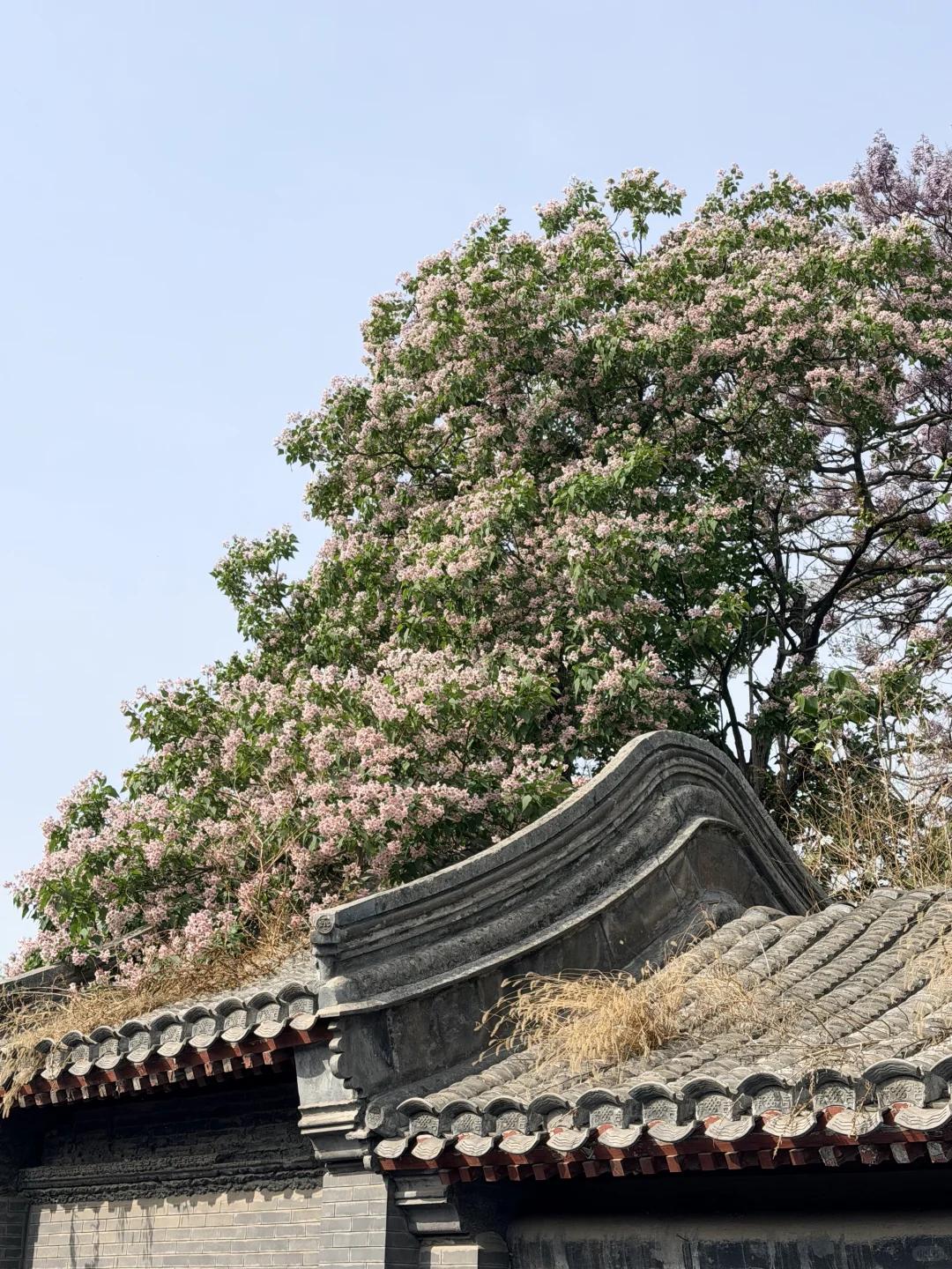 常州旅游 缩略图 6