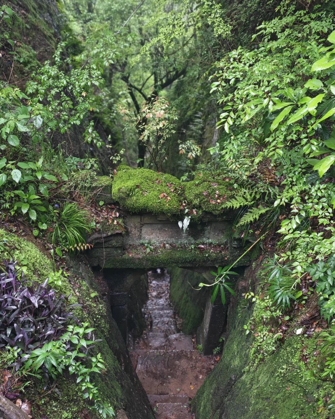 南平旅游 缩略图 8