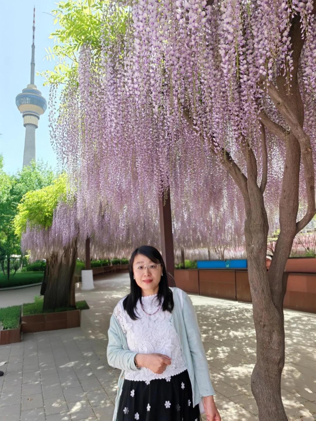 北京旅游 缩略图 3