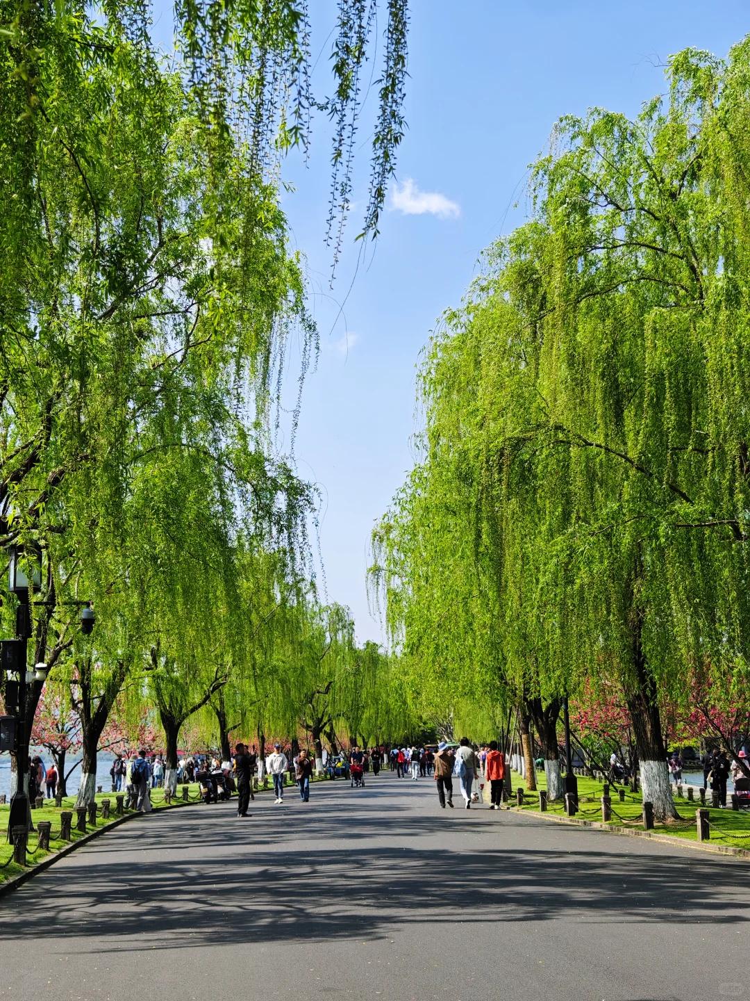 杭州旅游 缩略图 2