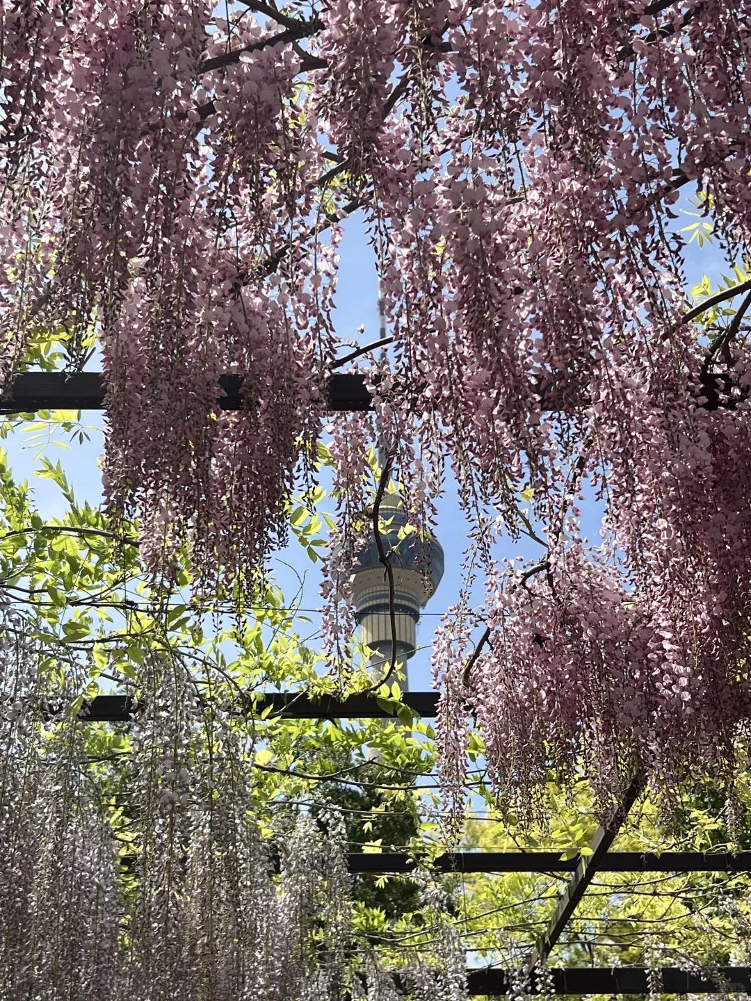 北京旅游 缩略图 7
