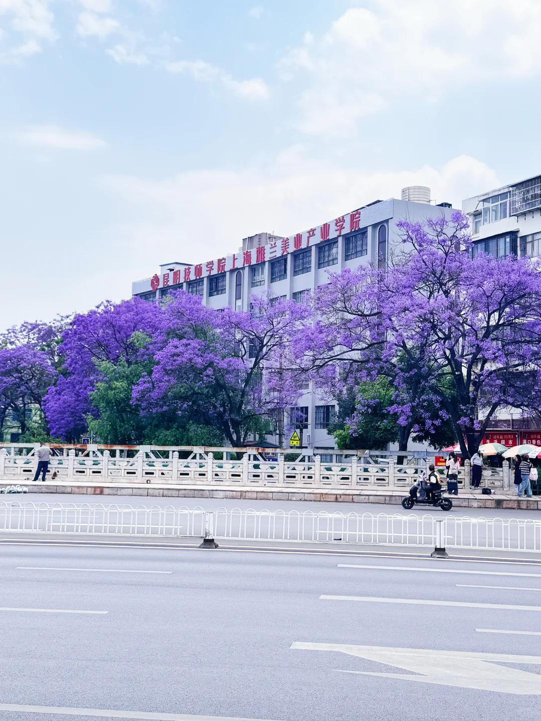 昆明旅游 缩略图 13