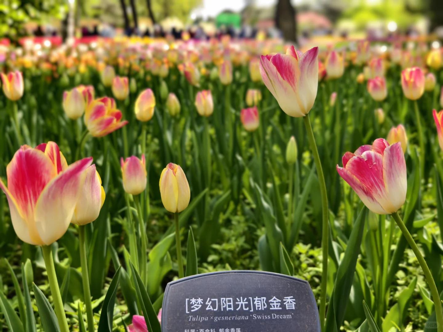 北京旅游 缩略图 8