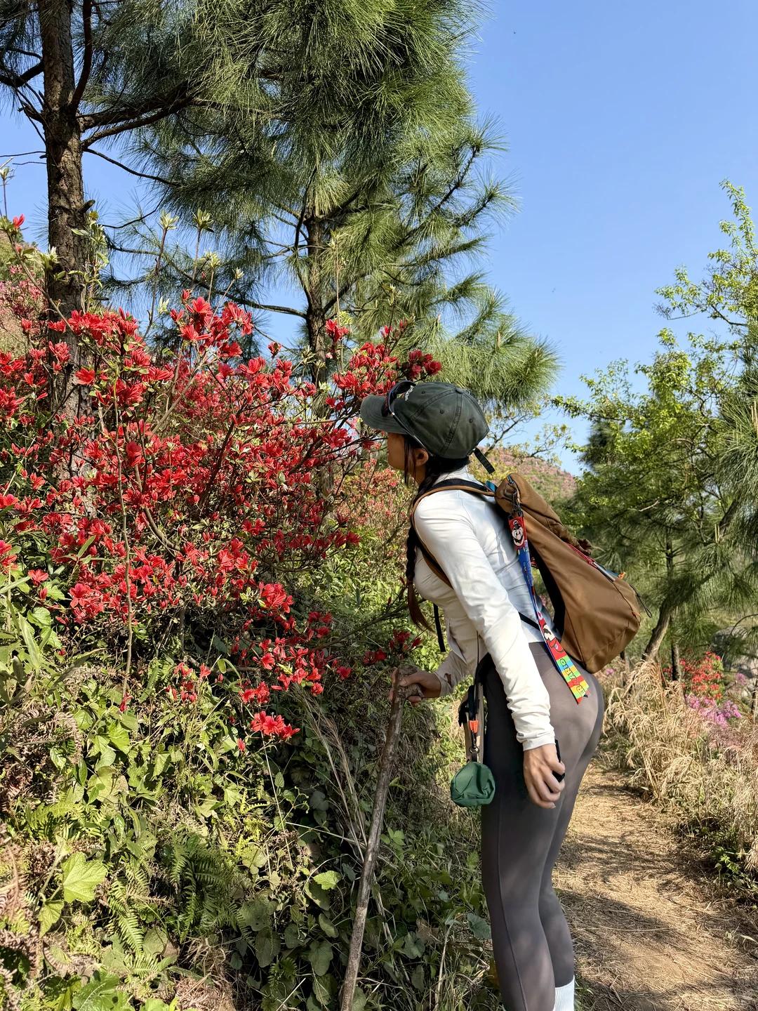宁波旅游 缩略图 8
