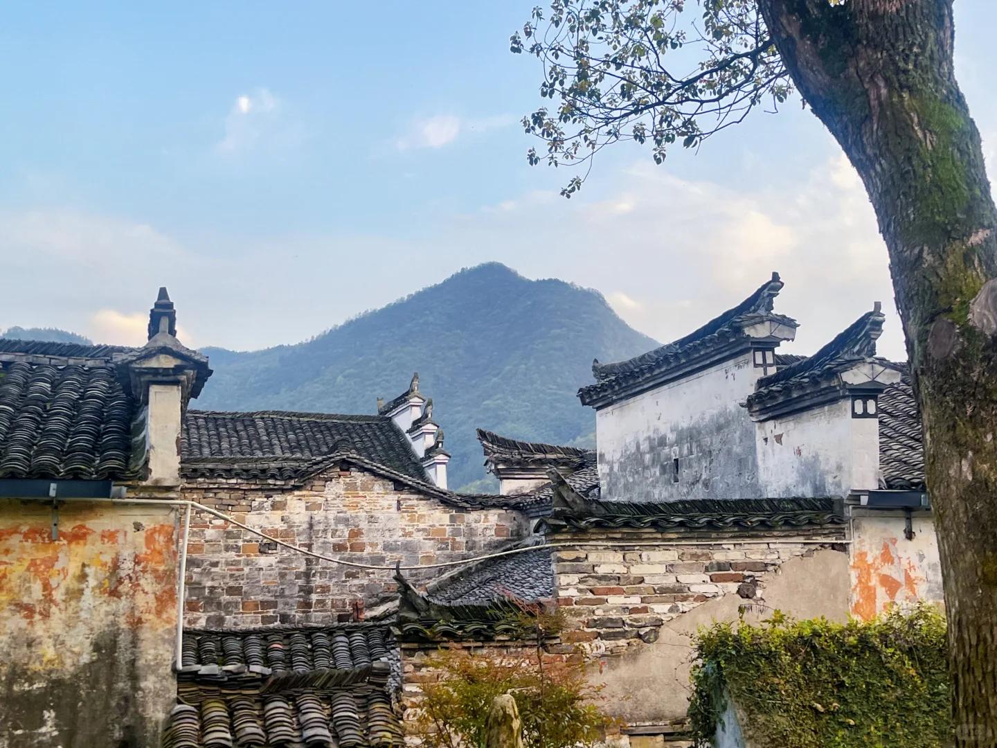 黄山旅游 缩略图 12