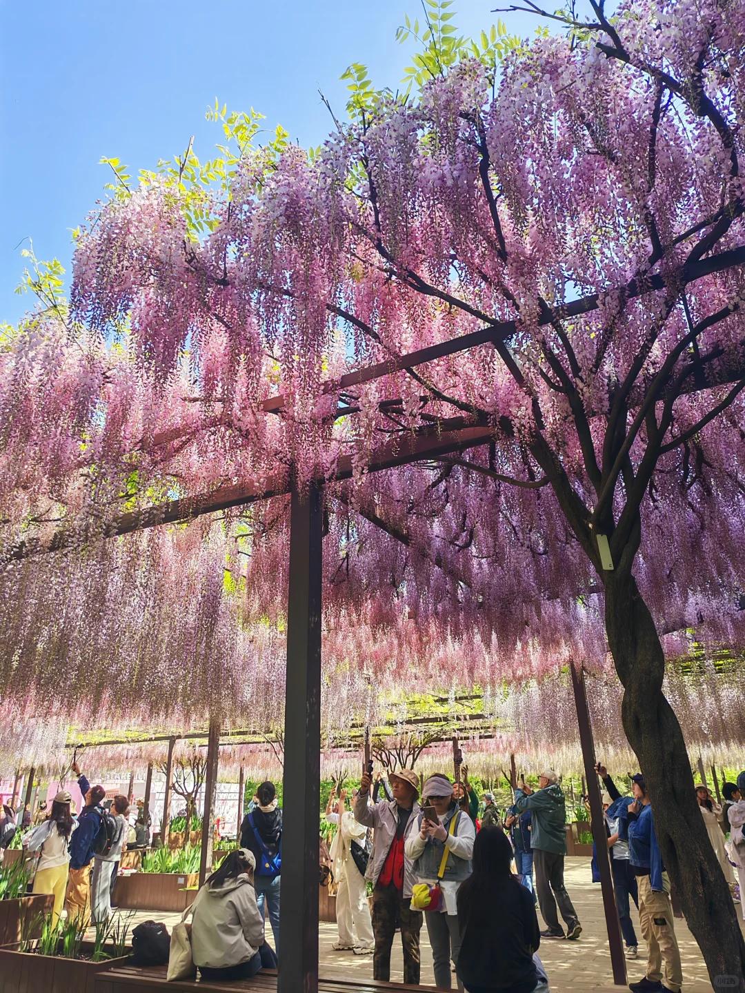 北京旅游 缩略图 11