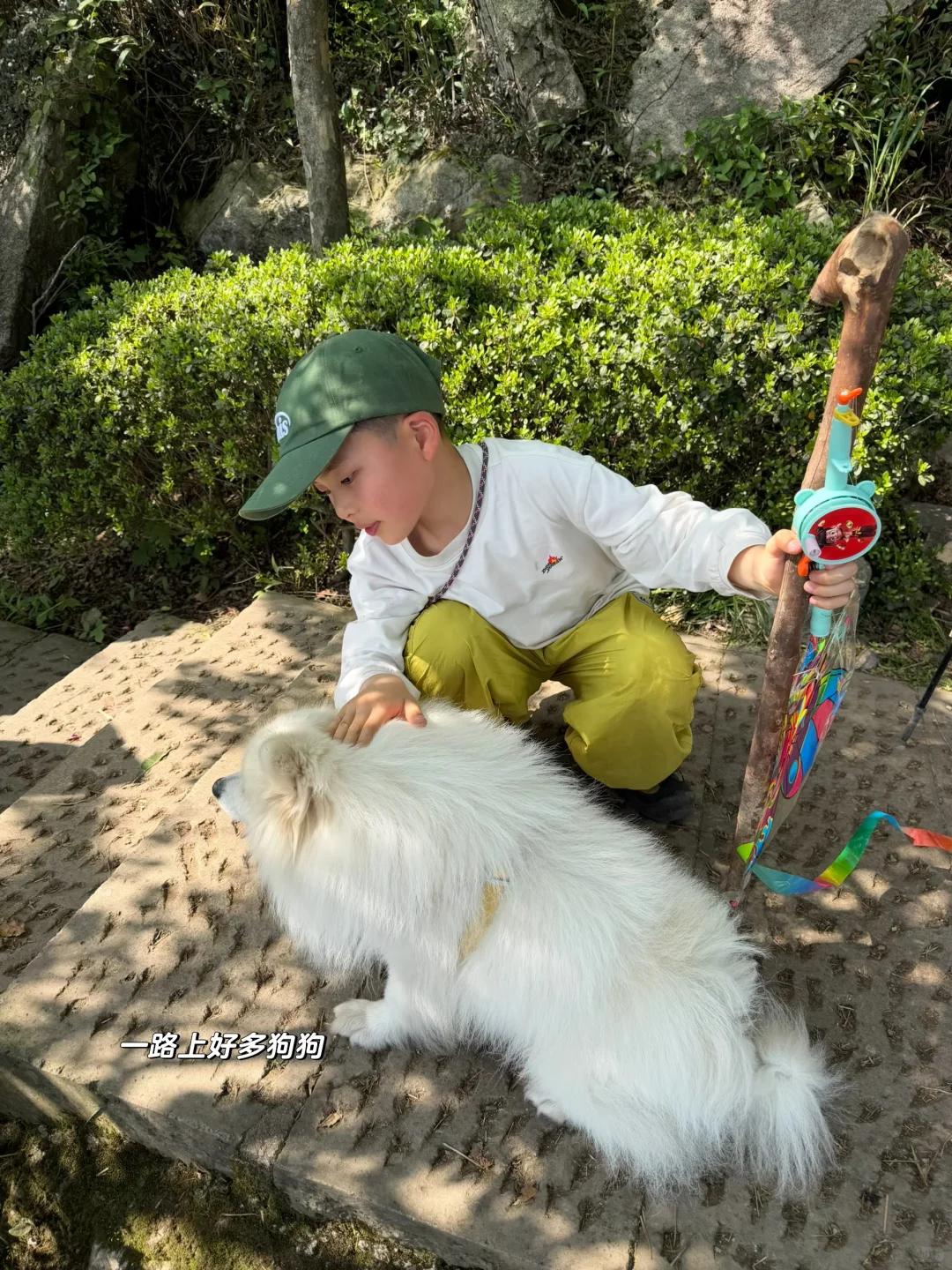 宁波旅游 缩略图 14