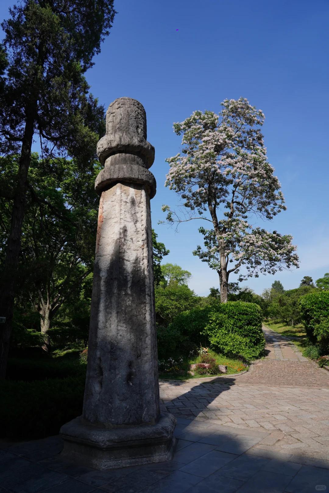 南京旅游 缩略图 7