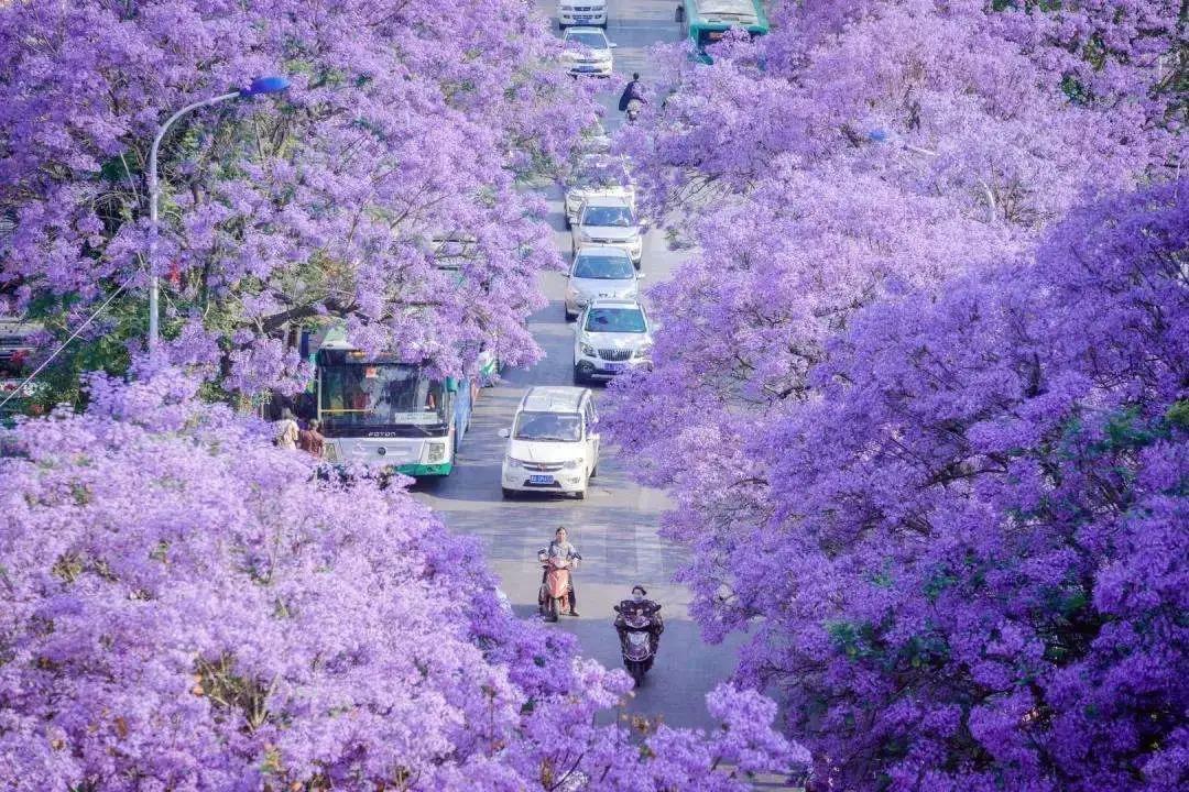 昆明旅游 缩略图 4