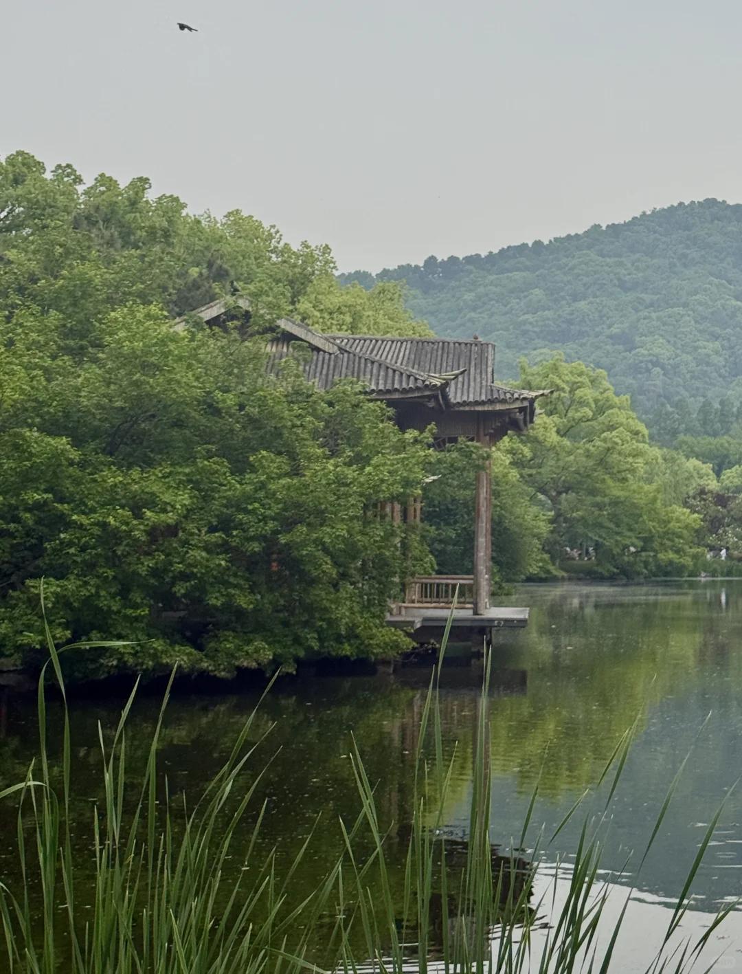杭州旅游 缩略图 11