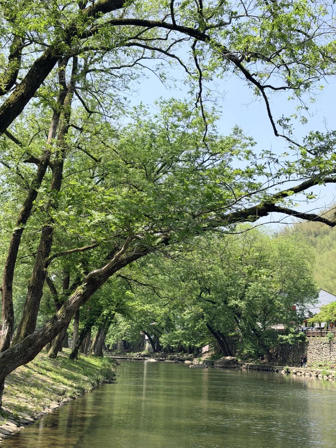 宁波旅游 缩略图 3