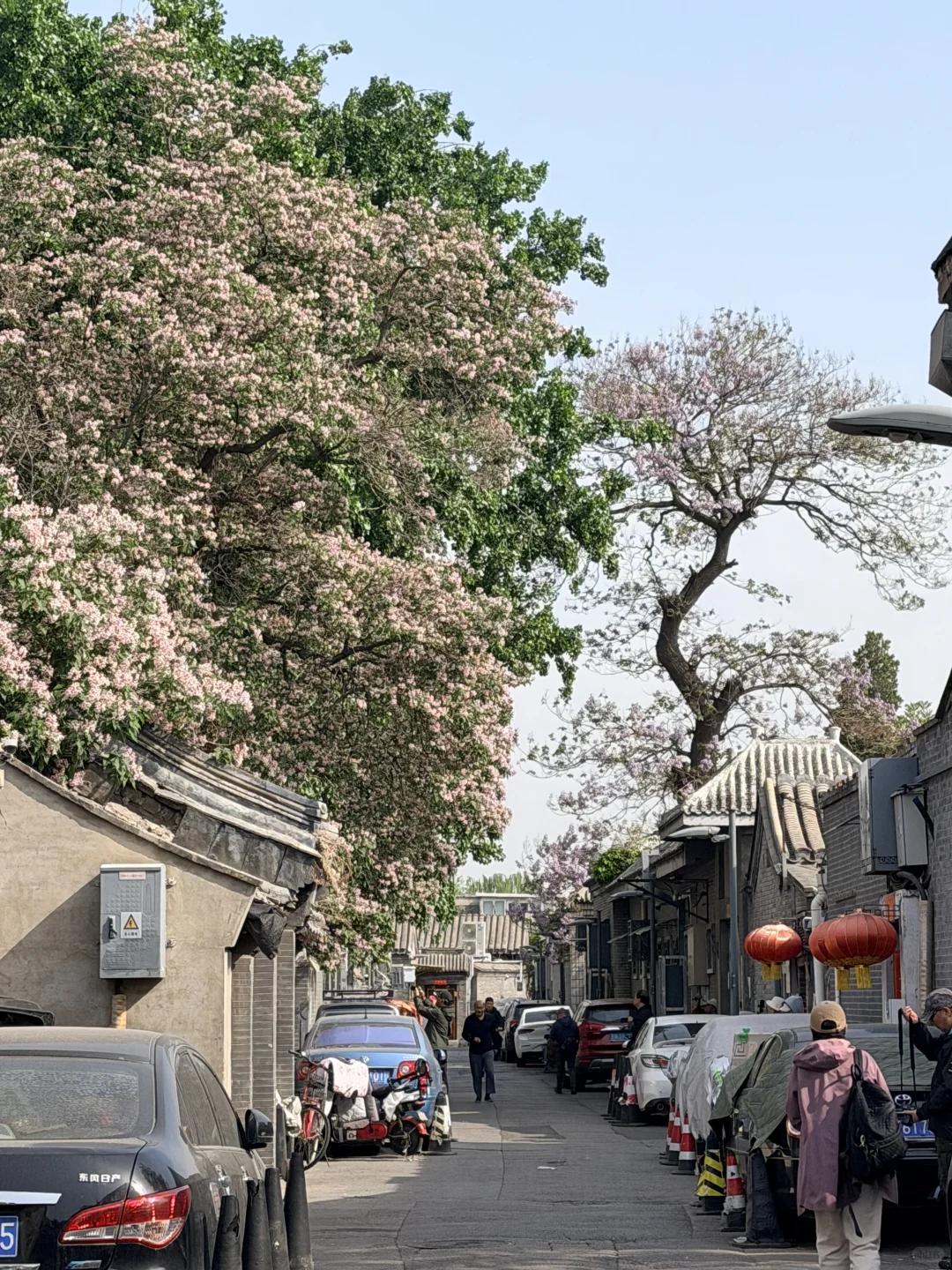 常州旅游 缩略图 2