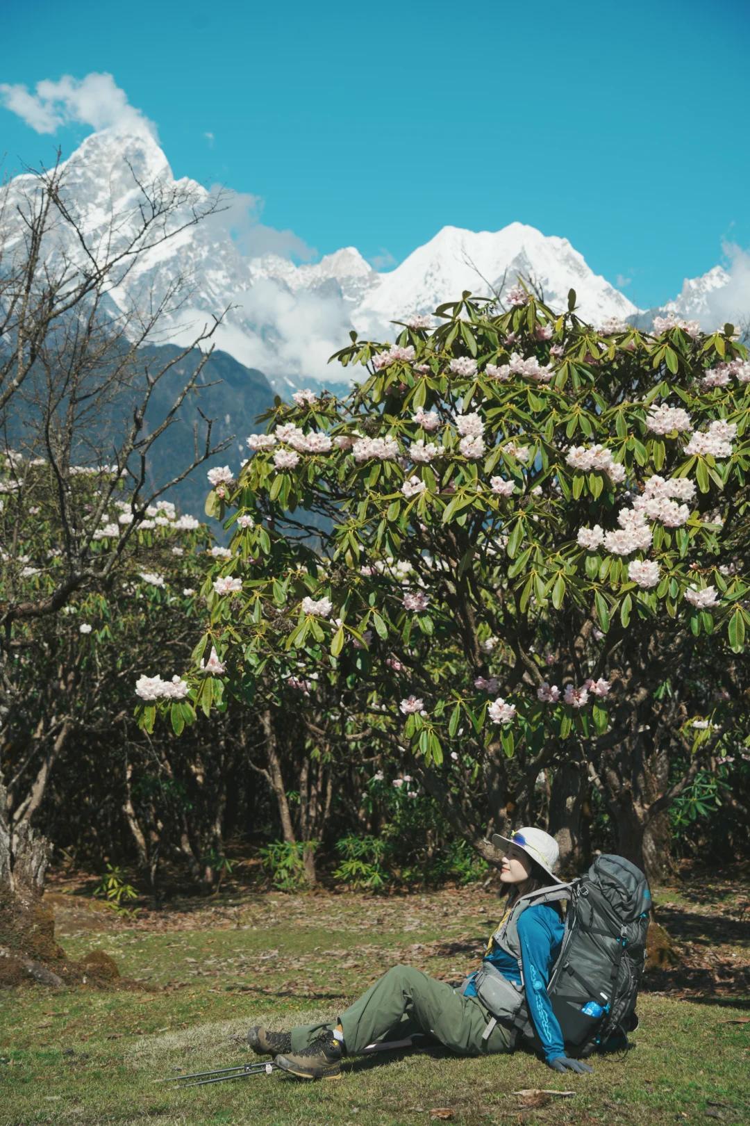甘孜旅游 缩略图 2