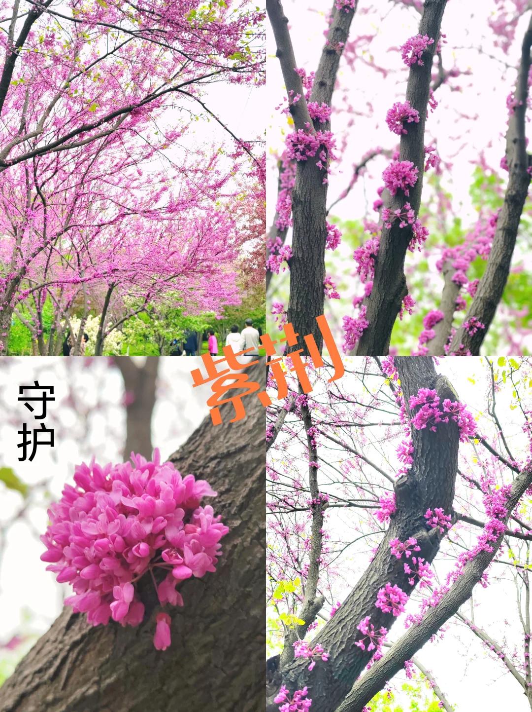 天津旅游 缩略图 12