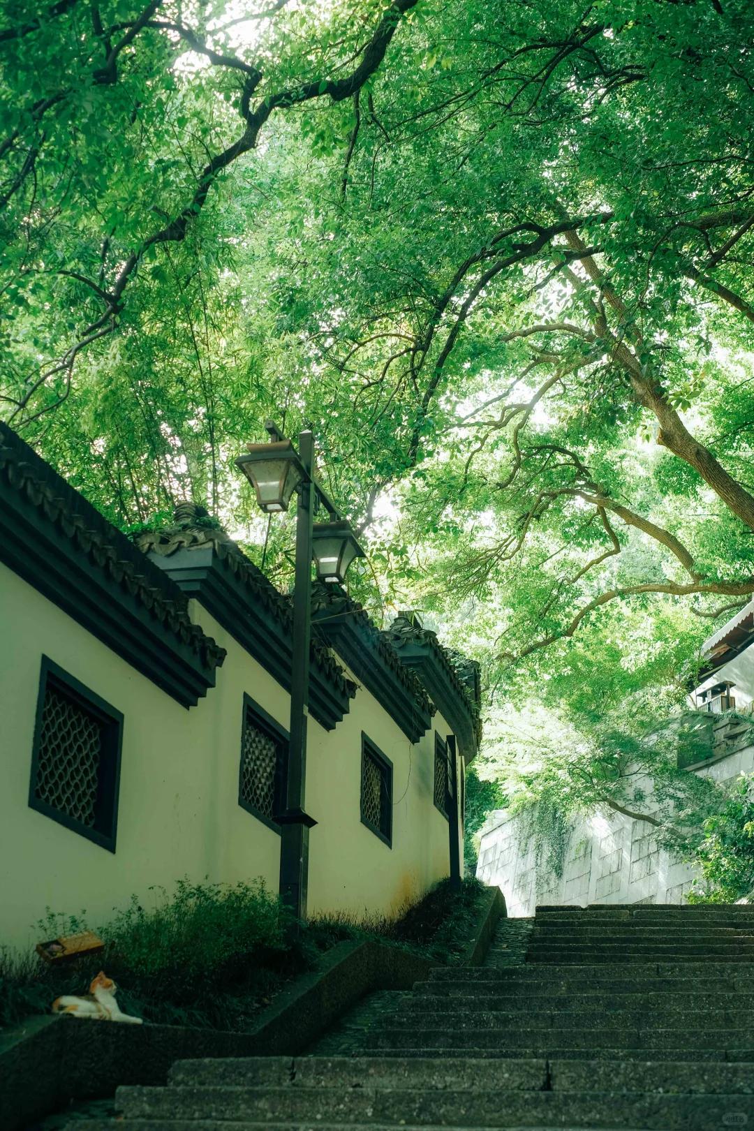 杭州旅游 缩略图 15