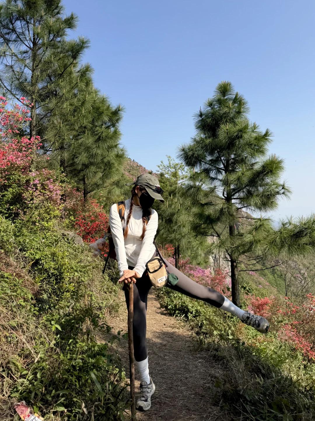 宁波旅游 缩略图 7
