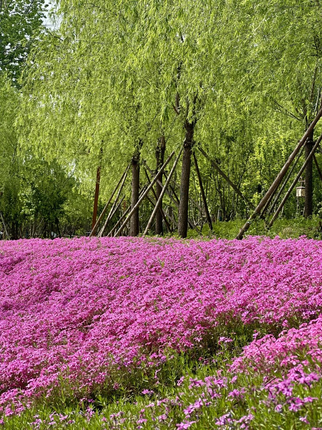 北京旅游 缩略图 5