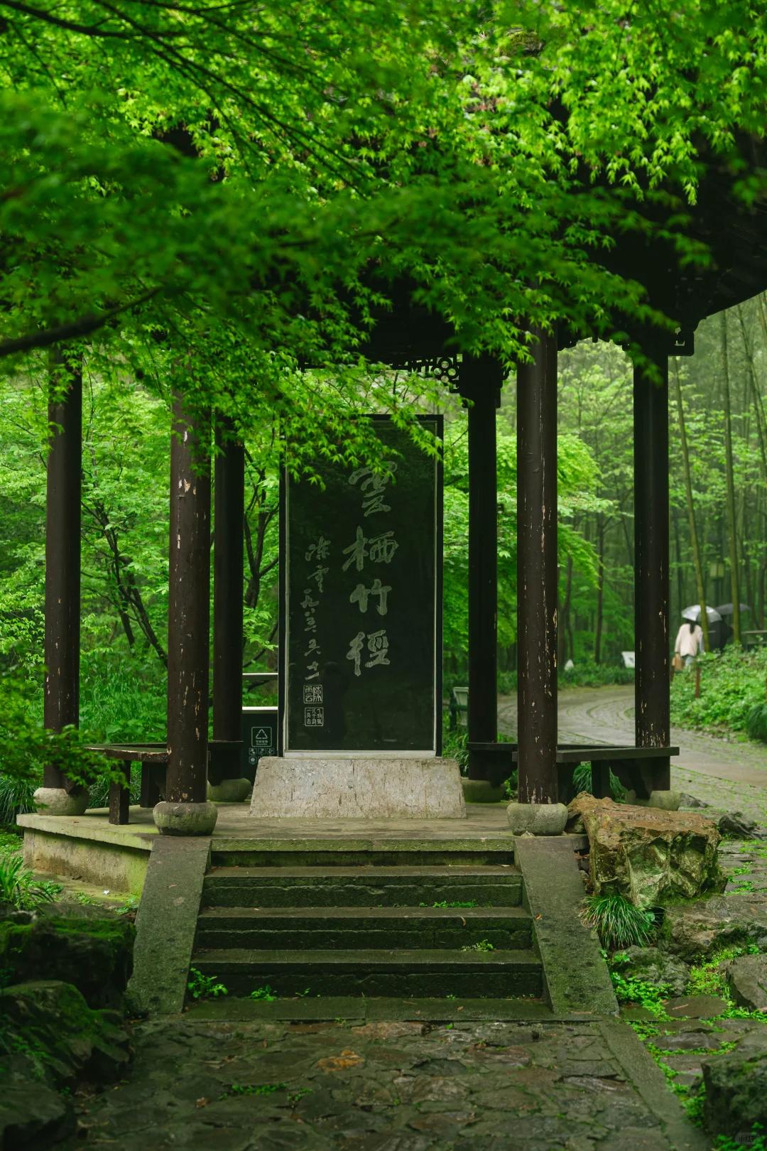 杭州旅游 缩略图 14
