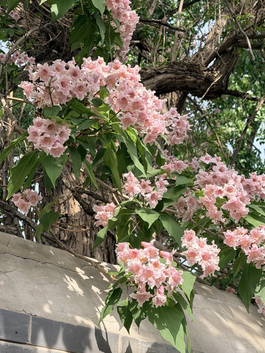 常州旅游 缩略图 5