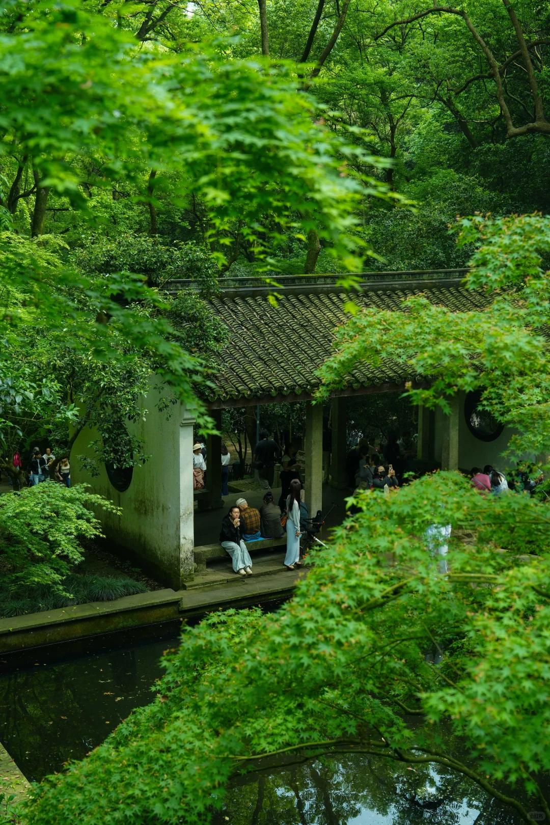 杭州旅游 缩略图 5