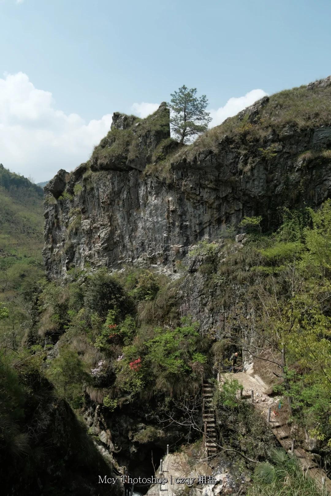 黄山旅游 缩略图 16