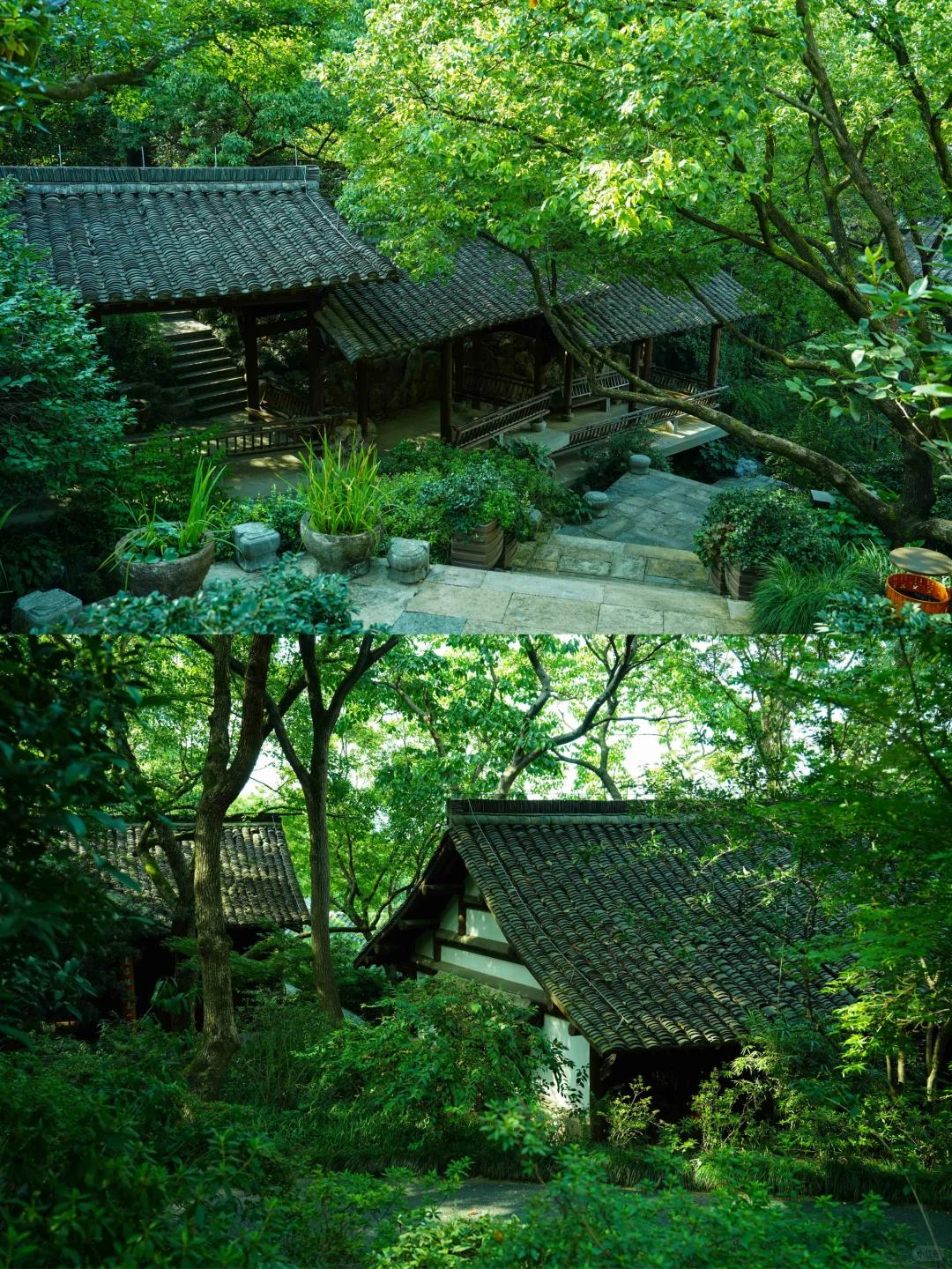 杭州旅游 缩略图 11