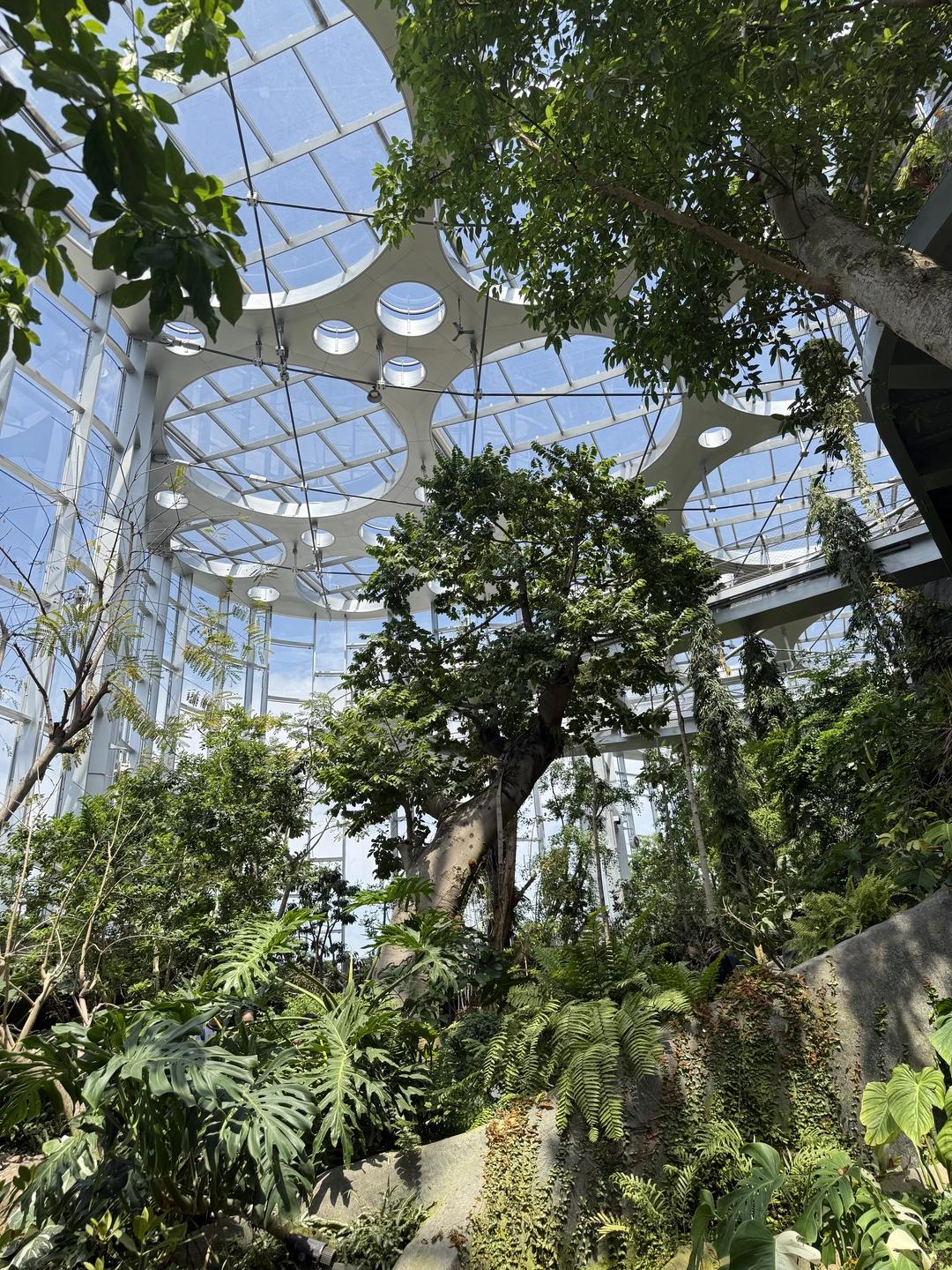 上海旅游 缩略图 15