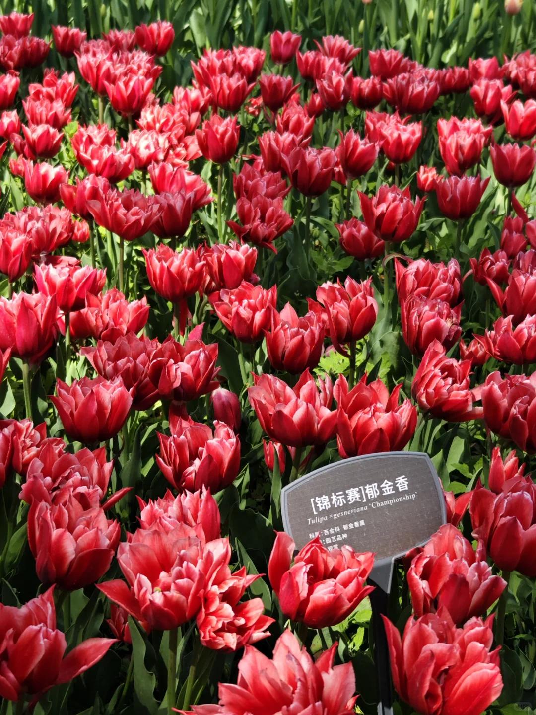 北京旅游 缩略图 4