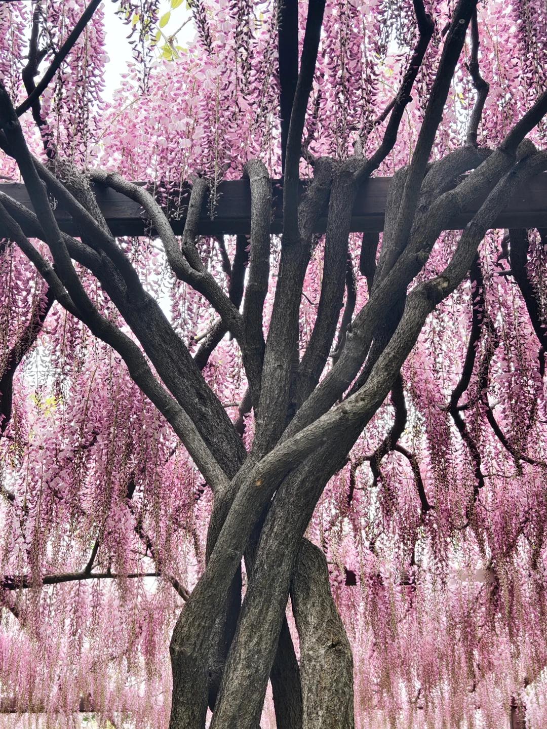 北京旅游 缩略图 9