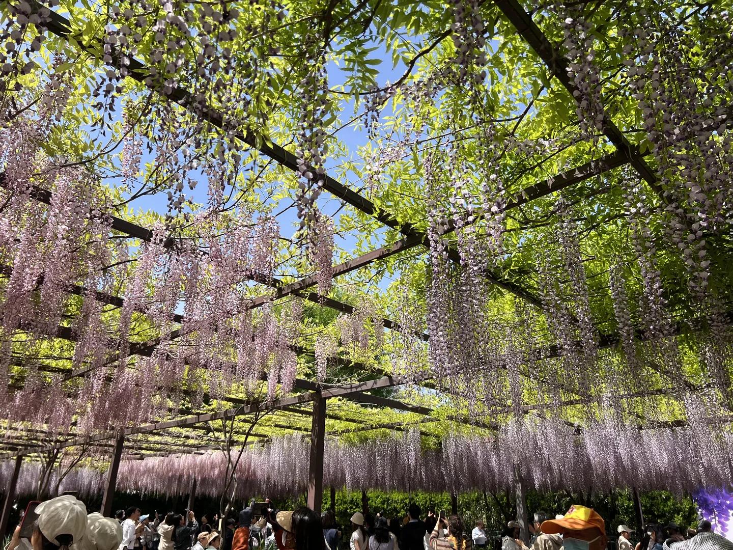 北京旅游 缩略图 10