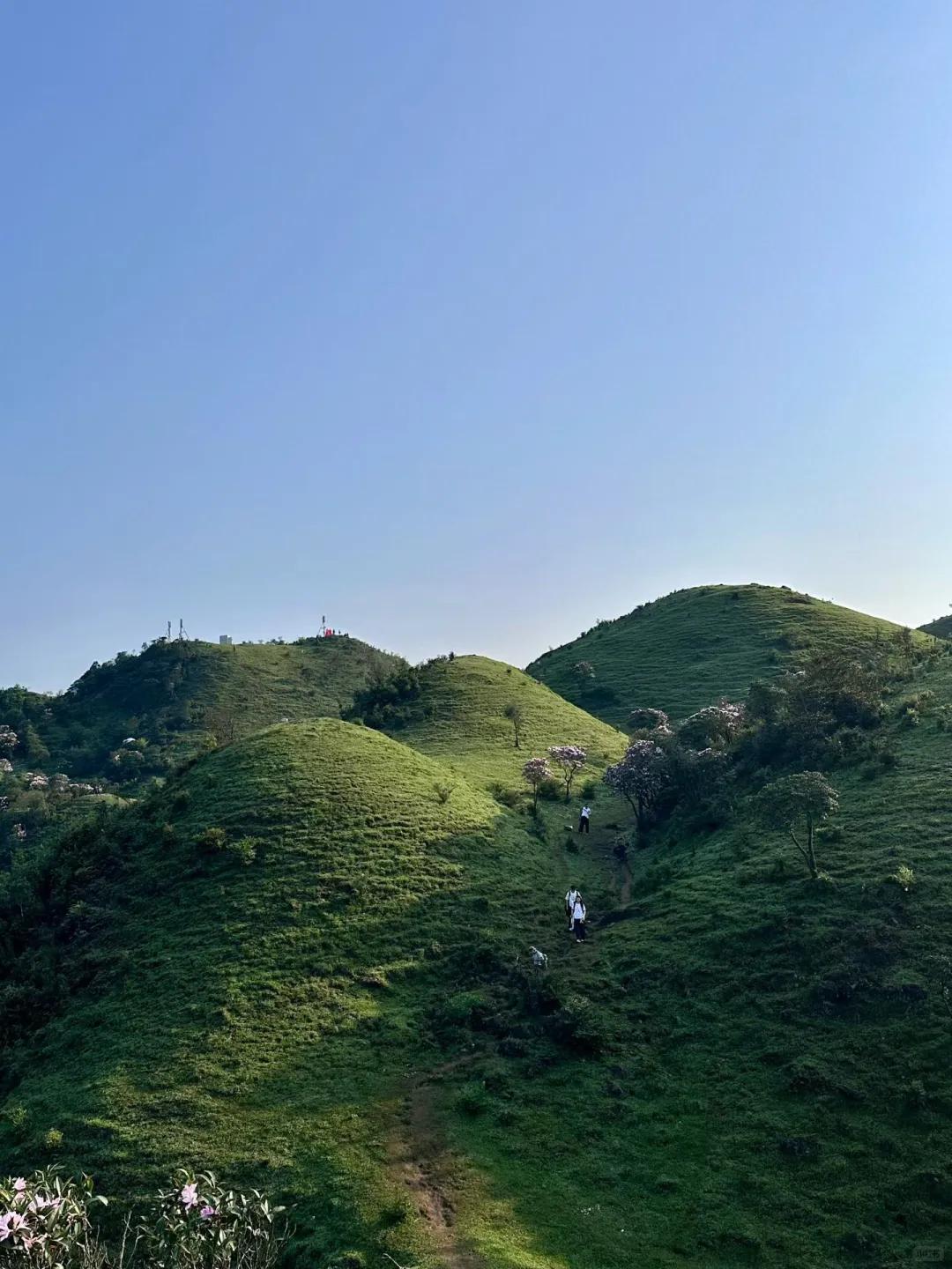 阳江旅游 缩略图 3